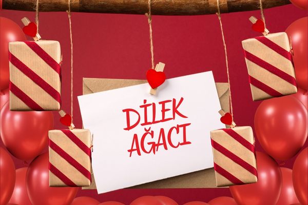 Dilek Ağacı Projesi